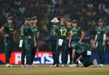 T20 World Cup: Australia coach deflects heat, says players must shoulder failure