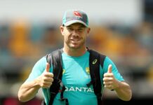 David Warner set to plead guilty in drink-driving case: Lawyer