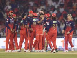 IPL 2026: The mentality behind RCB’s success? A relentless ‘hunter mindset’