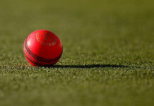 ICC approves pink ball use in Tests during bad light, coaches allowed on field
